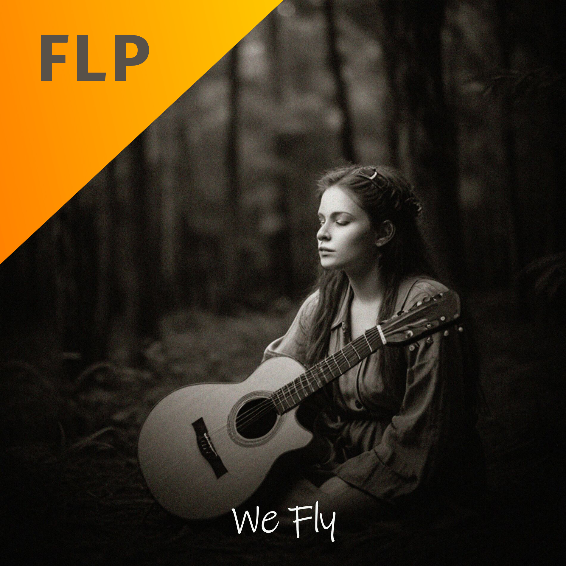 Capa de We Fly (FLP)